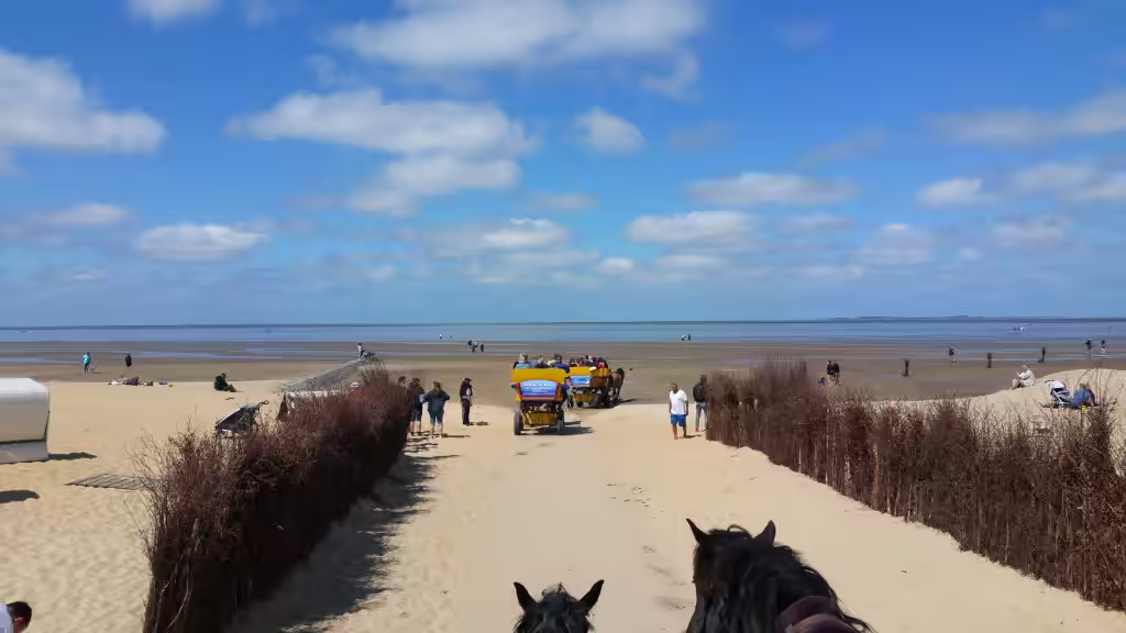 Wattwagenabfahrt in Sahlenburg Cuxhaven