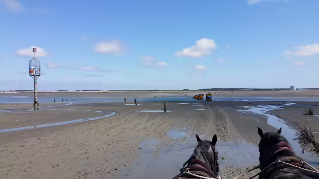 Rettungsbarke im Watt bei Cuxhaven