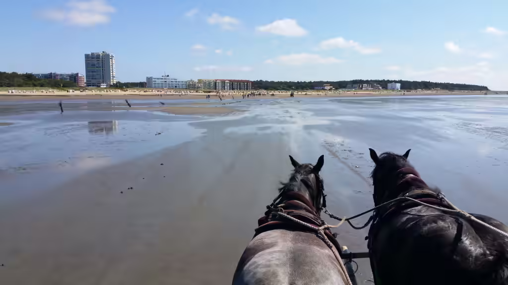 Wattwagen bei Sahlenburg Cuxhaven